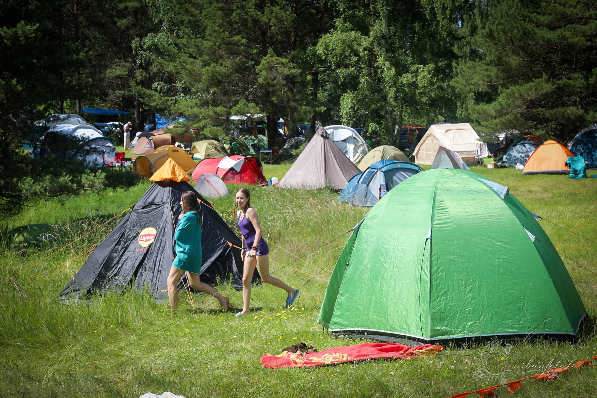 Colourful tents scattered across a grassy campsite among pine trees at BŪTĪBA Festival 2026, with festival-goers walking between tents